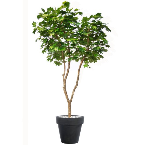 Planta semi-artificiala Ila, Maple Sugar Designer Green - 320 cm